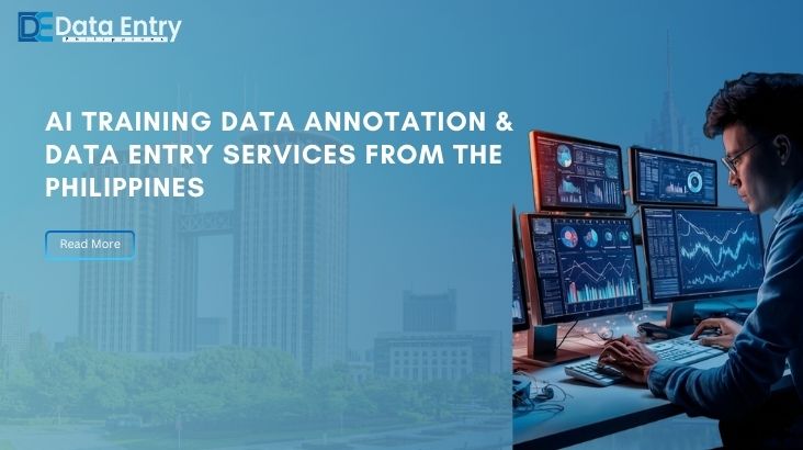 ai training data annotation & data entry services from the philippines dmbp